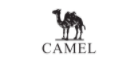 CAMEL STORE