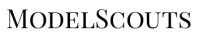 ModelScouts